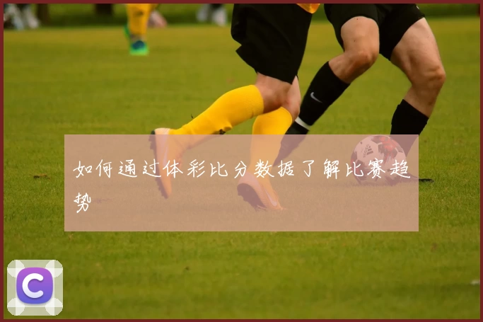 如何通过体彩比分数据了解比赛趋势