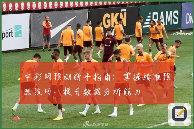 中彩网预测新手指南：掌握精准预测技巧，提升数据分析能力