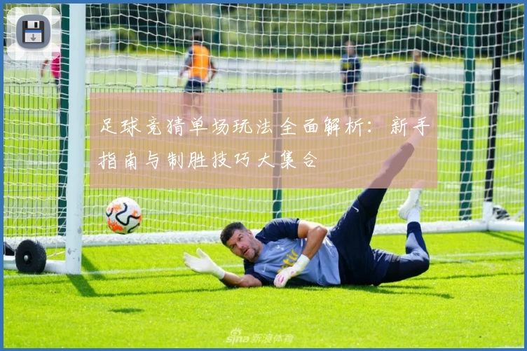 足球竞猜单场玩法全面解析：新手指南与制胜技巧大集合