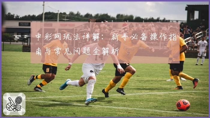 中彩网玩法详解：新手必备操作指南与常见问题全解析