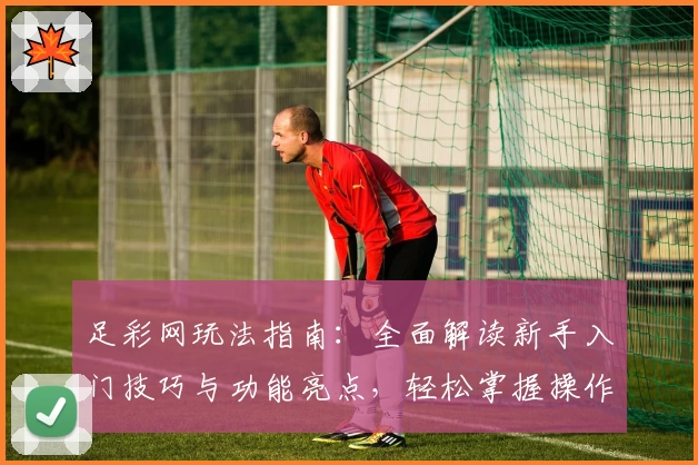 足彩网玩法指南：全面解读新手入门技巧与功能亮点，轻松掌握操作诀窍
